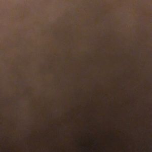 Meet your Posher, Shiloh